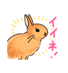 うさぎeveryday（個別スタンプ：8）