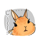 うさぎeveryday（個別スタンプ：10）