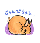 うさぎeveryday（個別スタンプ：11）
