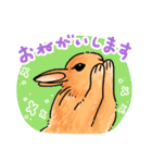 うさぎeveryday（個別スタンプ：12）