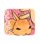うさぎeveryday（個別スタンプ：13）