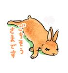 うさぎeveryday（個別スタンプ：15）