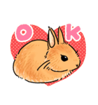 うさぎeveryday（個別スタンプ：16）