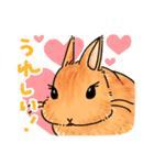 うさぎeveryday（個別スタンプ：18）