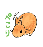 うさぎeveryday（個別スタンプ：20）