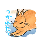 うさぎeveryday（個別スタンプ：21）