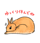 うさぎeveryday（個別スタンプ：22）