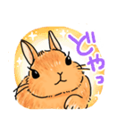 うさぎeveryday（個別スタンプ：23）