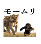 やる気のないゴリラの赤ちゃん！(超便利)（個別スタンプ：6）
