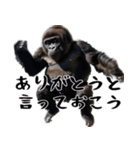 やる気のないゴリラの赤ちゃん！(超便利)（個別スタンプ：8）