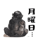 やる気のないゴリラの赤ちゃん！(超便利)（個別スタンプ：11）
