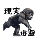 やる気のないゴリラの赤ちゃん！(超便利)（個別スタンプ：12）
