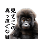 やる気のないゴリラの赤ちゃん！(超便利)（個別スタンプ：14）
