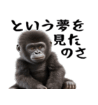 やる気のないゴリラの赤ちゃん！(超便利)（個別スタンプ：16）