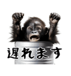 やる気のないゴリラの赤ちゃん！(超便利)（個別スタンプ：17）