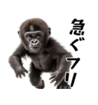 やる気のないゴリラの赤ちゃん！(超便利)（個別スタンプ：19）