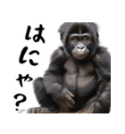 やる気のないゴリラの赤ちゃん！(超便利)（個別スタンプ：20）