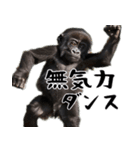 やる気のないゴリラの赤ちゃん！(超便利)（個別スタンプ：24）