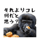 やる気のないゴリラの赤ちゃん！(超便利)（個別スタンプ：25）