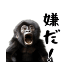 やる気のないゴリラの赤ちゃん！(超便利)（個別スタンプ：30）