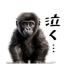 やる気のないゴリラの赤ちゃん！(超便利)（個別スタンプ：31）