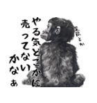 やる気のないゴリラの赤ちゃん！(超便利)（個別スタンプ：34）