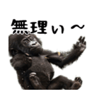 やる気のないゴリラの赤ちゃん！(超便利)（個別スタンプ：35）