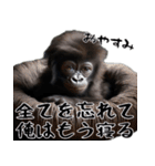 やる気のないゴリラの赤ちゃん！(超便利)（個別スタンプ：40）