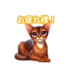 とにかくかわいい アビシニアン（個別スタンプ：1）