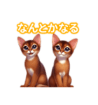 とにかくかわいい アビシニアン（個別スタンプ：16）