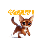 とにかくかわいい アビシニアン（個別スタンプ：17）