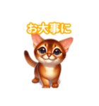 とにかくかわいい アビシニアン（個別スタンプ：24）
