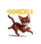 とにかくかわいい アビシニアン（個別スタンプ：36）