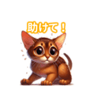 とにかくかわいい アビシニアン（個別スタンプ：37）