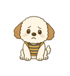 イヌのペチくん（個別スタンプ：11）