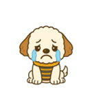 イヌのペチくん（個別スタンプ：12）