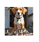 【色んな動物】シンプルな日常会話に（個別スタンプ：9）