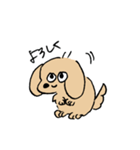 使いやすいあしのみじかいいぬ（個別スタンプ：5）