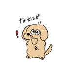 使いやすいあしのみじかいいぬ（個別スタンプ：6）