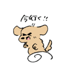 使いやすいあしのみじかいいぬ（個別スタンプ：7）