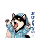 ぱじゃま柴、今日もゆるい（個別スタンプ：1）