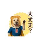 パンをかぶったわんわんヒーロー（個別スタンプ：7）