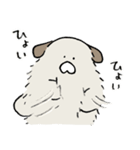 【朗報】冬毛（個別スタンプ：23）