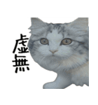 サイベリアンのくるみ3（個別スタンプ：24）