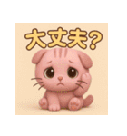 スコにゃん 日常編（個別スタンプ：31）