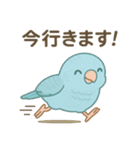 まるっとサザナミインコの日常（個別スタンプ：1）