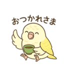 まるっとサザナミインコの日常（個別スタンプ：3）