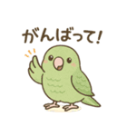 まるっとサザナミインコの日常（個別スタンプ：4）