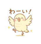 まるっとサザナミインコの日常（個別スタンプ：7）