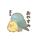 まるっとサザナミインコの日常（個別スタンプ：8）